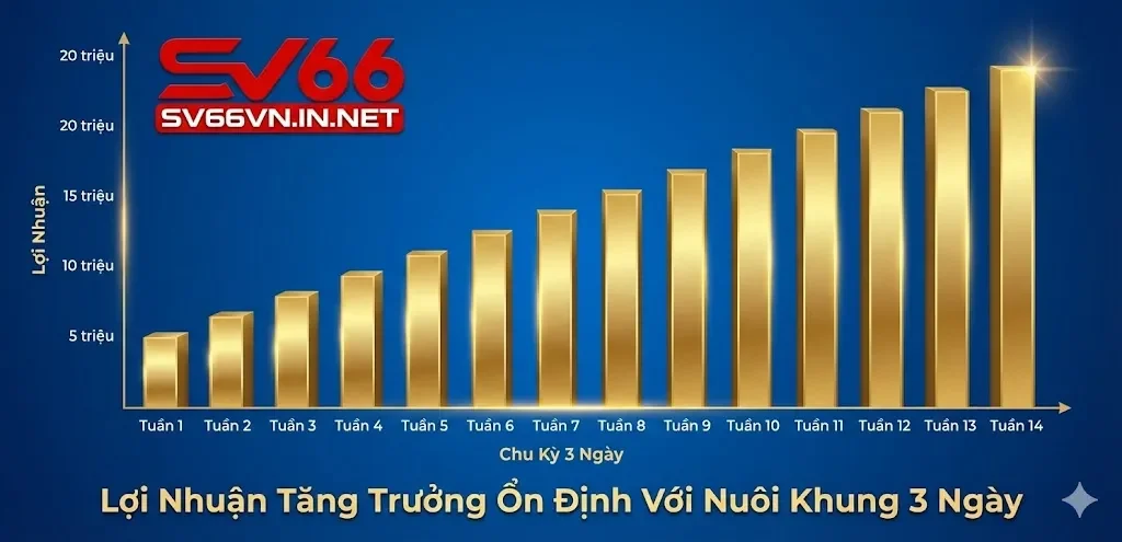 Tối ưu hóa chiến lược vào tiền để đảm bảo lợi nhuận bền vững dài hạn